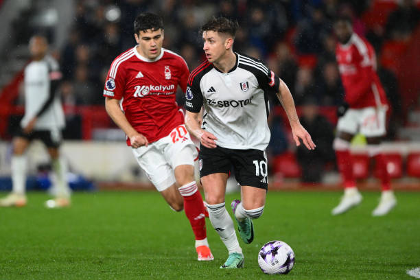 费单价动态 费单价动态